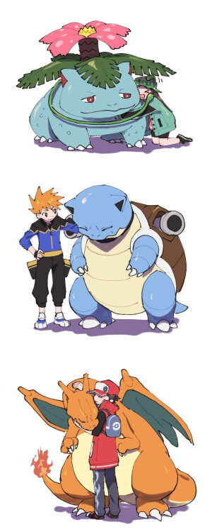 ｛精灵宝可梦｝