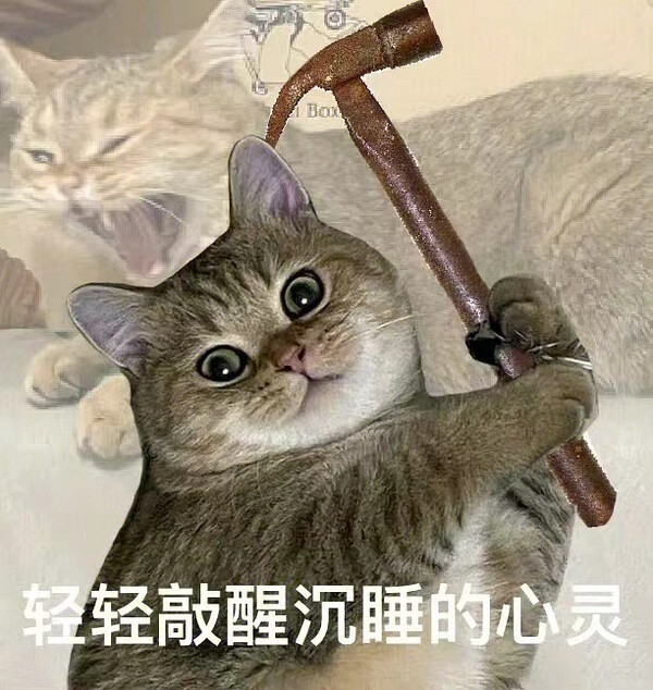 表情包