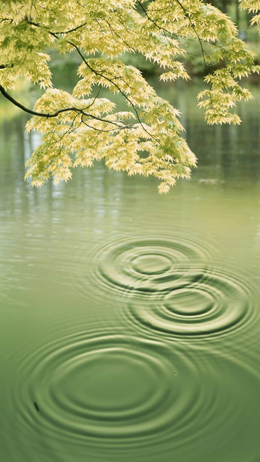 内心淡然从容，方见生命本真。©视觉中国