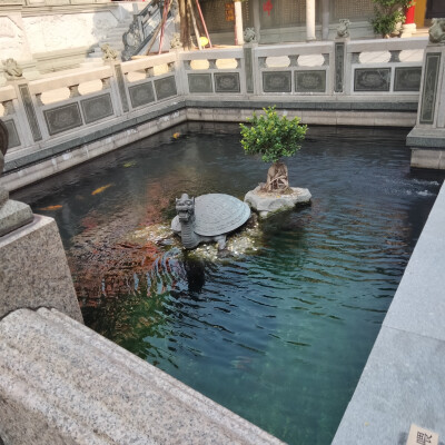 旅行日记：珠海金台寺