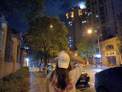 为什么不呢