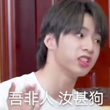 时代少年团表情包