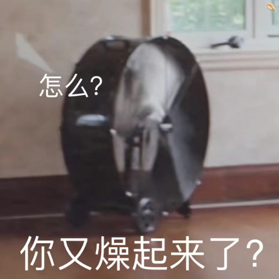 时代少年团表情包