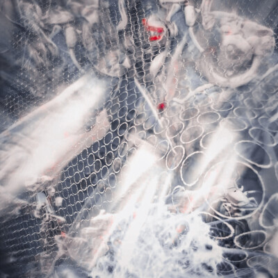 雾霾散去 以后周更