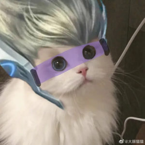 狄仁杰和芳芳的接头猫猫