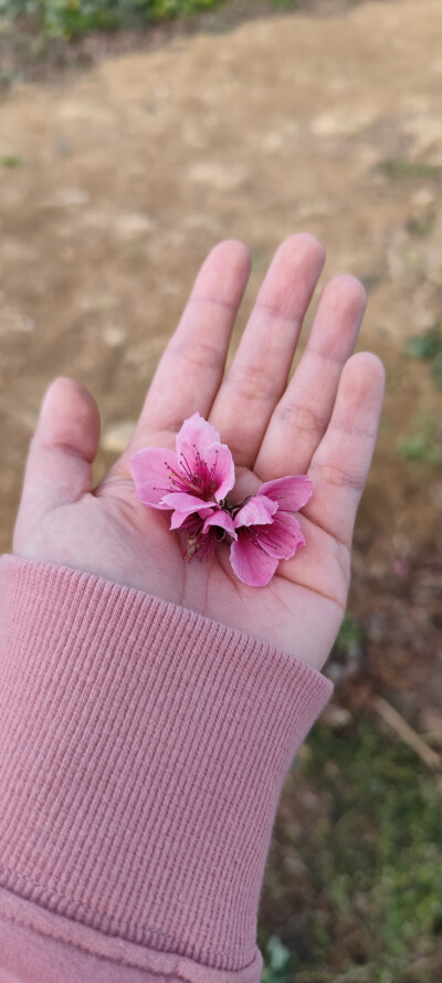 陪伴胜过言语，细节胜过情话