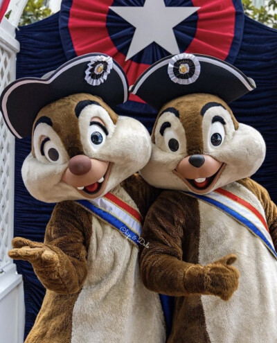 迪士尼 奇奇蒂蒂 Chip&Dale 