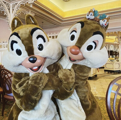 迪士尼 奇奇蒂蒂 Chip&Dale 