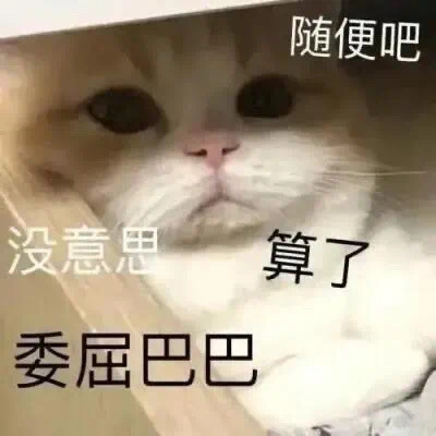 表情包