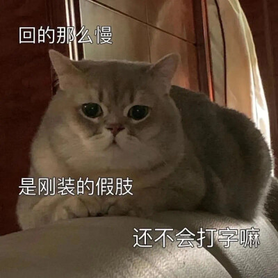 表情包