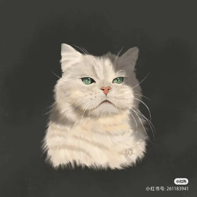 插画猫咪