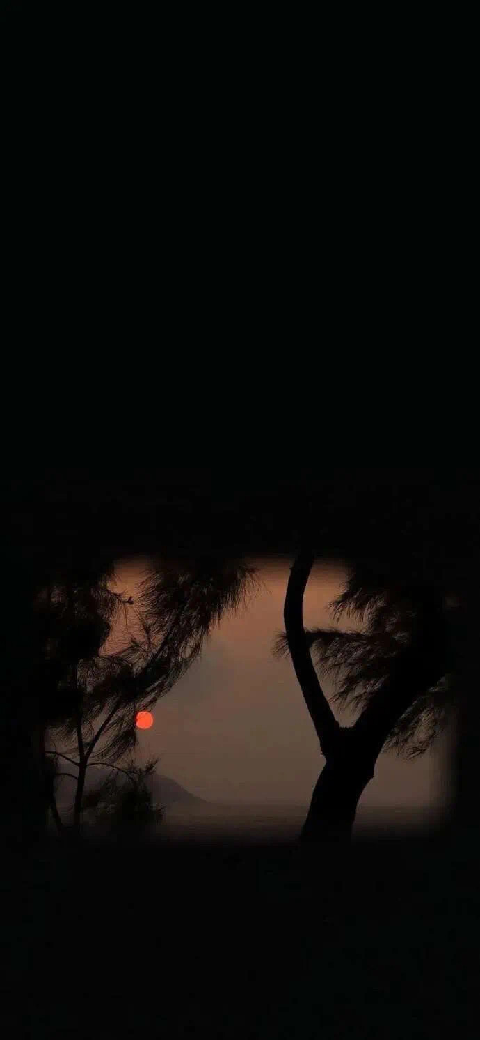 壁纸