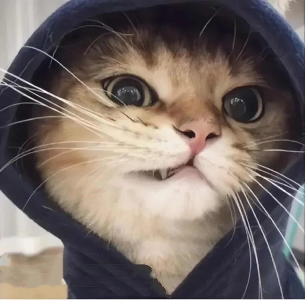 高清图片,堆糖,美图壁纸兴趣社区