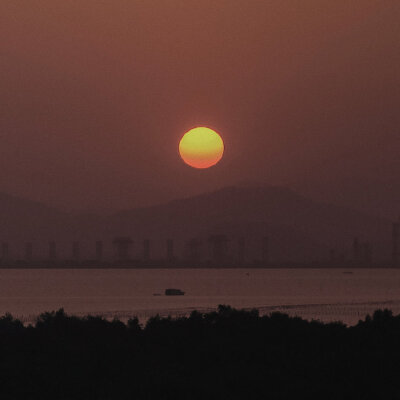 夏日 散片