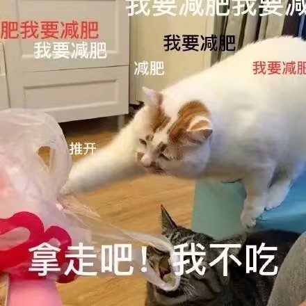 猫猫狗狗表情包