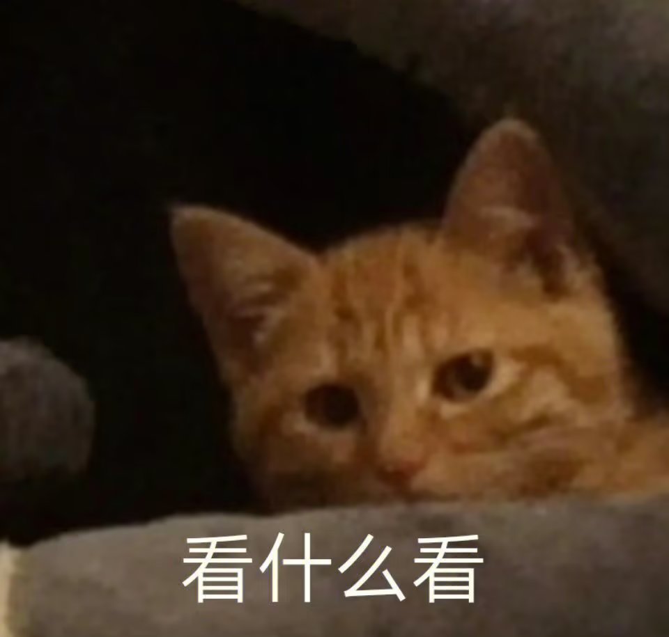 猫猫狗狗表情包