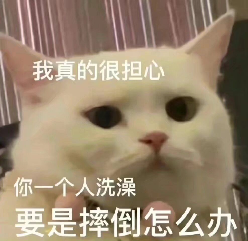 猫猫狗狗表情包