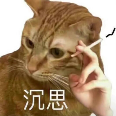 猫猫狗狗表情包