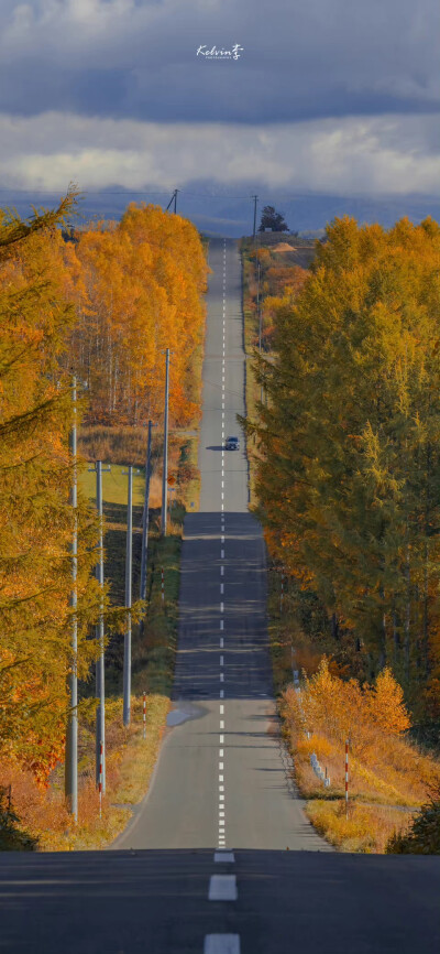 -初秋的北海道
摄影@kelvin李