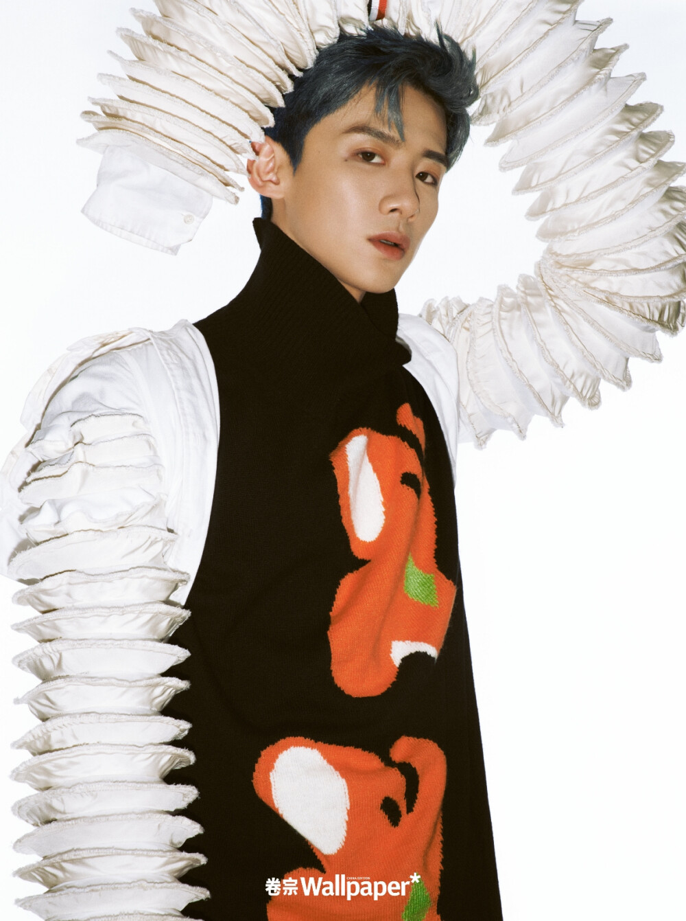 白敬亭 卷宗启蒙时代