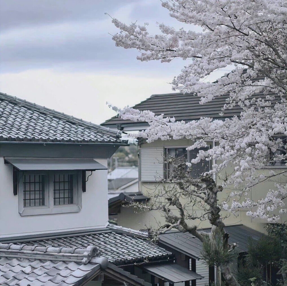 想淋雨就别走