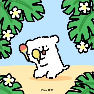 线条小狗Maltese