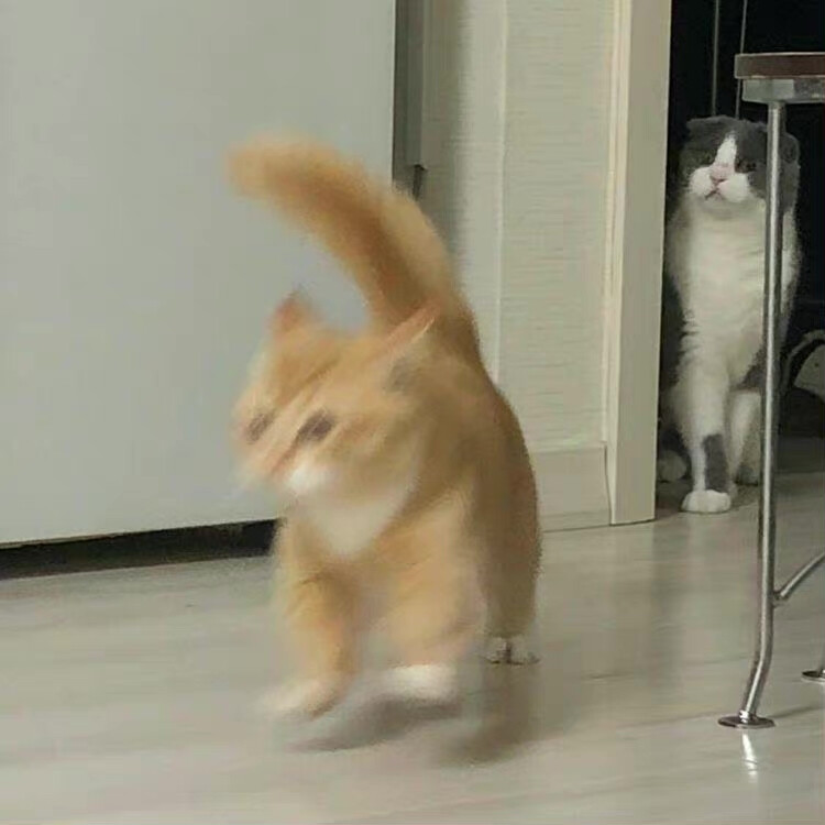 背景图