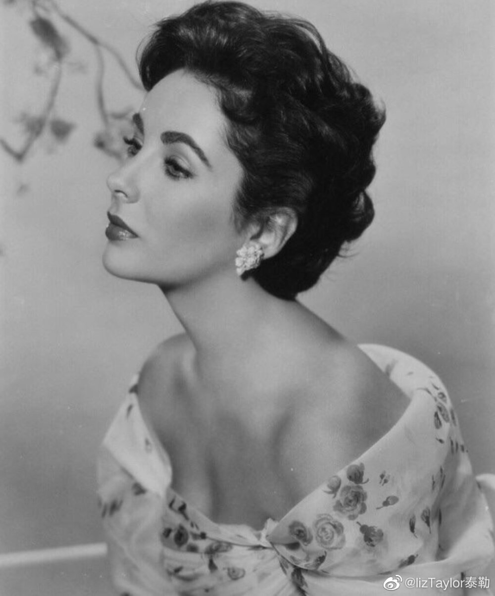 伊丽莎白泰勒
Elizabeth Taylor