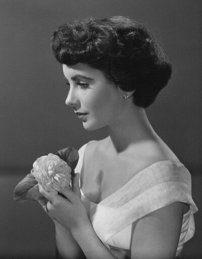 伊丽莎白泰勒
Elizabeth Taylor