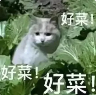 表情