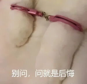 奇奇怪怪の表情包系列₍˄·͈༝·͈˄*₎◞ ̑̑
图片来源于网络.侵删