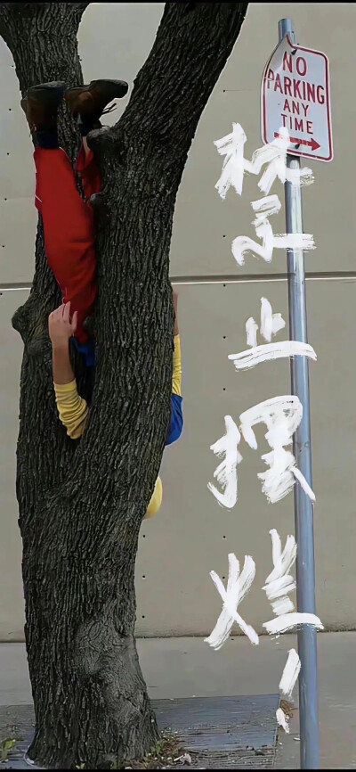众生皆苦，我们还需努力