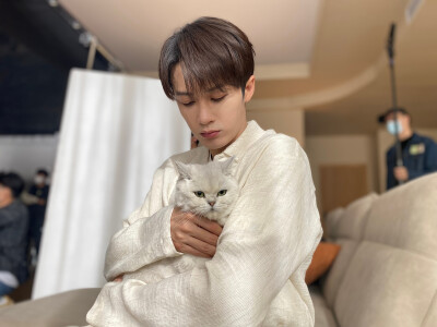 檀健次（猫和猫）