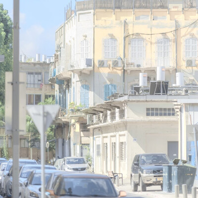 Summer Breath：风信子与艾叶、夏の匂い…