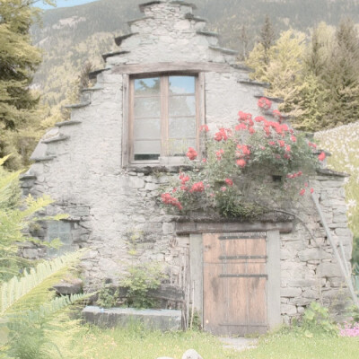 Summer Breath：风信子与艾叶、夏の匂い…