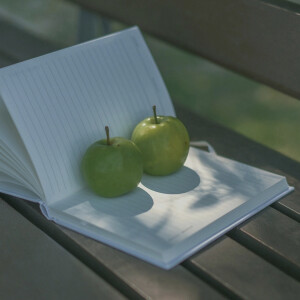 “岁月很长 人海茫茫”

背景图｜摄影博主: 【小瑾七七】