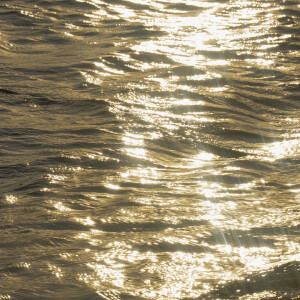 “岁月很长 人海茫茫”

背景图｜摄影博主: 【小瑾七七】