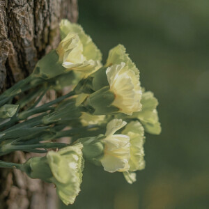 “岁月很长 人海茫茫”

背景图｜摄影博主: 【小瑾七七】