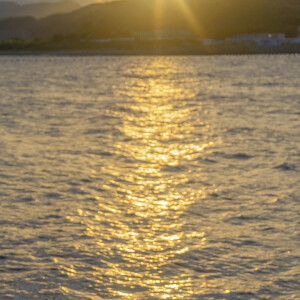 “岁月很长 人海茫茫”

背景图｜摄影博主: 【小瑾七七】