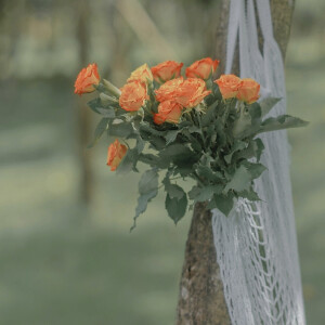 “岁月很长 人海茫茫”

背景图｜摄影博主: 【小瑾七七】