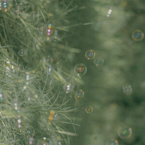 “岁月很长 人海茫茫”

背景图｜摄影博主: 【小瑾七七】