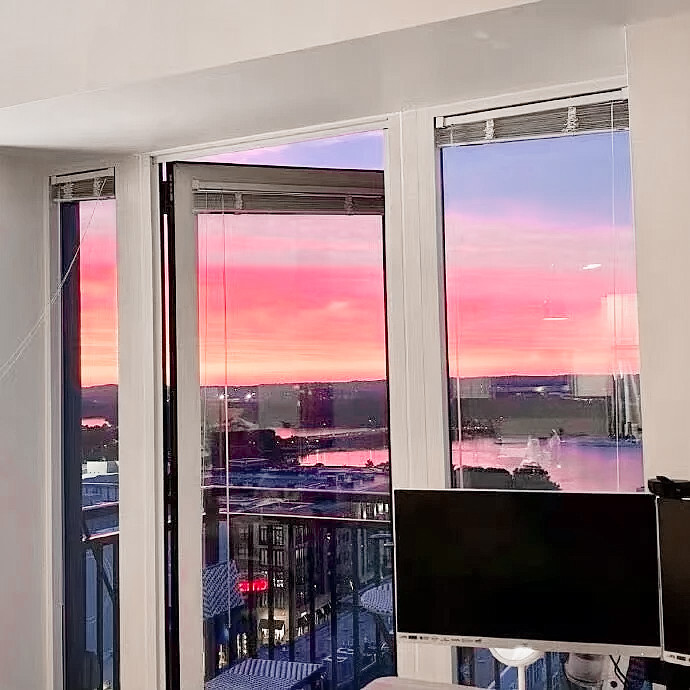 ◆朴彩英
“篱外的夕阳渐渐的淡了，墙影渐渐的长了，晚霞退了，繁星生了；我们便渐渐浸到黑暗里，只能看见旁花台里的小白花，在苍茫中闪烁——摇动。”