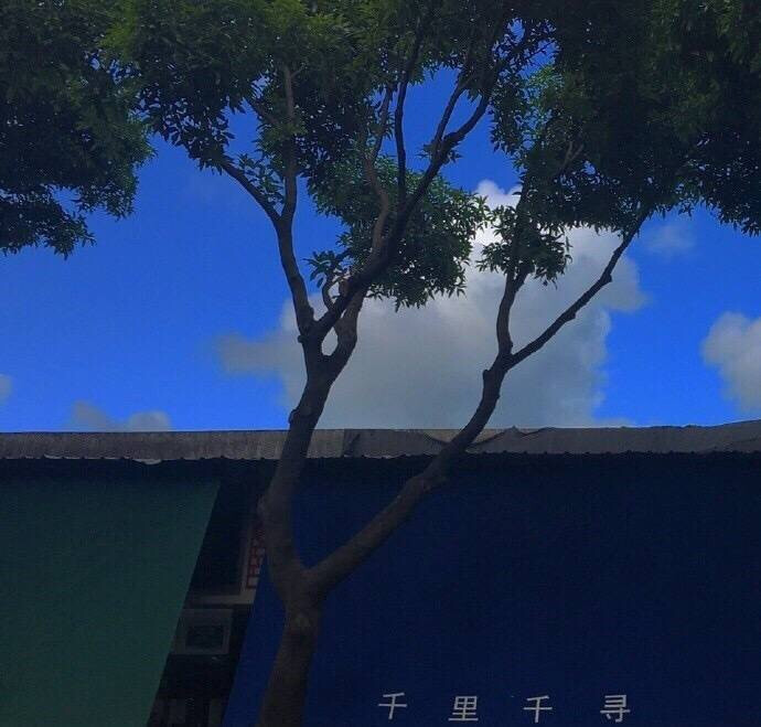 小众高级背景图by阿尧头像馆