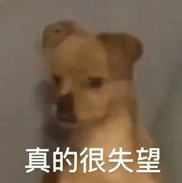 去那边玩