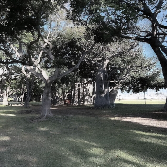 
春有三五七言，我有我的浪漫
