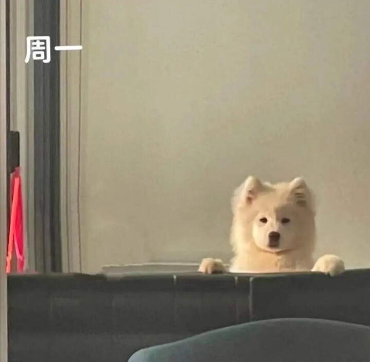 我今天摆烂，明天摆烂，天天摆烂 这不是自律这是什么
侵删致歉