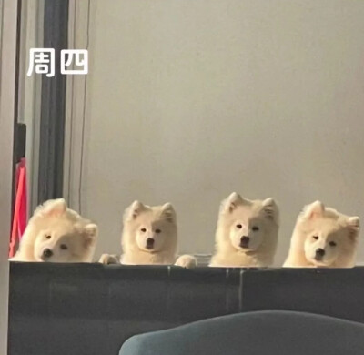 我今天摆烂，明天摆烂，天天摆烂 这不是自律这是什么
侵删致歉