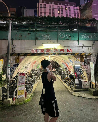 龙颜永驻