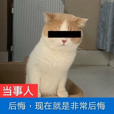 可爱 表情包