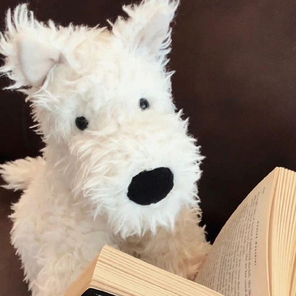 小狗是坠可爱滴(˶‾᷄ ⁻̫ ‾᷅˵)